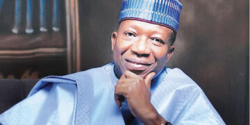 NILDS Director-General In Trouble With Governing Council Over Alleged Political Activities