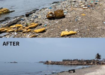 ECOWAS Marks 51st Anniversary With Plastic-Free Campaign In Senegal