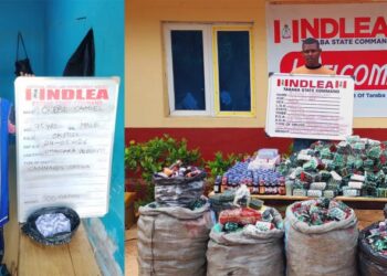 NDLEA Nabs Four Notorious Female Drug Dealers