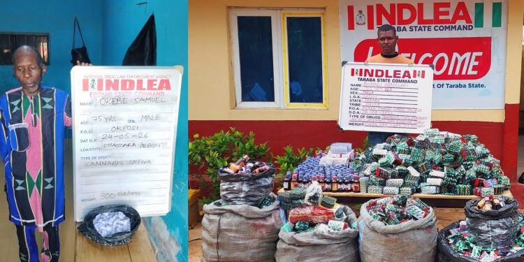 NDLEA Nabs Four Notorious Female Drug Dealers
