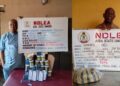 NDLEA Arrests 84 year-old, 75 year-old Grandpas For Selling Drugs To Secondary School Pupils, Nabs  75 year-old Grandma In Oyo Raid