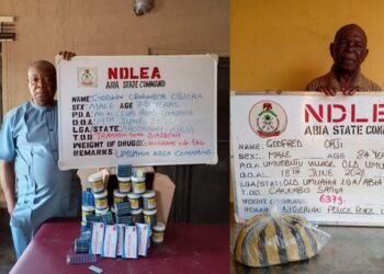 NDLEA Arrests 84 year-old, 75 year-old Grandpas For Selling Drugs To Secondary School Pupils, Nabs 75 year-old Grandma In Oyo Raid