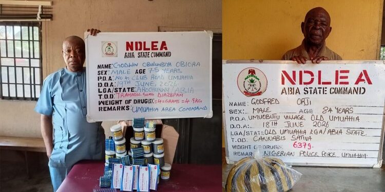 NDLEA Arrests 84 year-old, 75 year-old Grandpas For Selling Drugs To Secondary School Pupils, Nabs 75 year-old Grandma In Oyo Raid