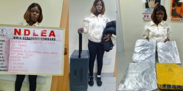 NDLEA Arrests China-bound Businesswoman With 7.5kg Cocaine, Pins Down N12.3billion Loud At Lagos Port
