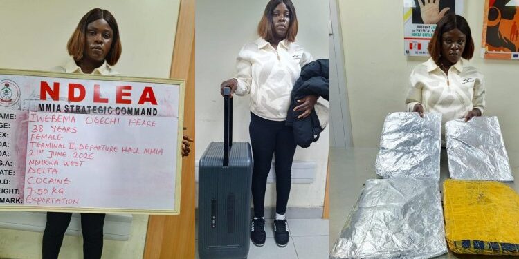 NDLEA Arrests China-bound Businesswoman With 7.5kg Cocaine, Pins Down N12.3billion Loud At Lagos Port