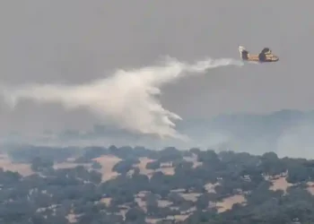 France, Spain Wildfires Force Mass Evacuations, Spark EU Response