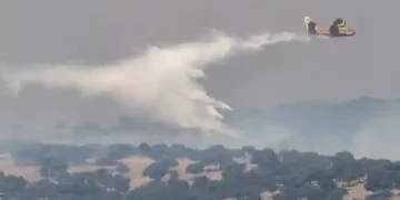France, Spain Wildfires Force Mass Evacuations, Spark EU Response
