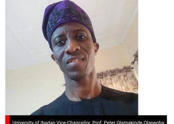 Professor Peter Olapegba Emerges New Vice Chancellor Of University Of Ibadan