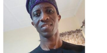 Professor Peter Olapegba Emerges New Vice Chancellor Of University Of Ibadan