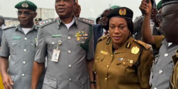 NDLEA Takes Custody Of  6,778.5kg Of Canadian Loud Seized At Lagos Seaport