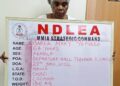 67-year-old Nigerian-British Woman In NDLEA’s Net For Attempting To Smuggle 13KG Cocaine To London