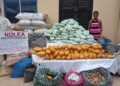 NDlEA Intercepts 1,630,000 Pills Of Tramadol Heading To Kano, Nabs 80-year-old Grandpa For Drug Pushing