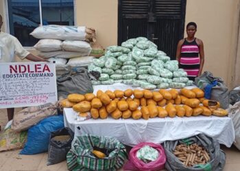 NDlEA Intercepts 1,630,000 Pills Of Tramadol Heading To Kano, Nabs 80-year-old Grandpa For Drug Pushing