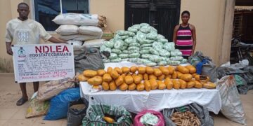 NDlEA Intercepts 1,630,000 Pills Of Tramadol Heading To Kano, Nabs 80-year-old Grandpa For Drug Pushing