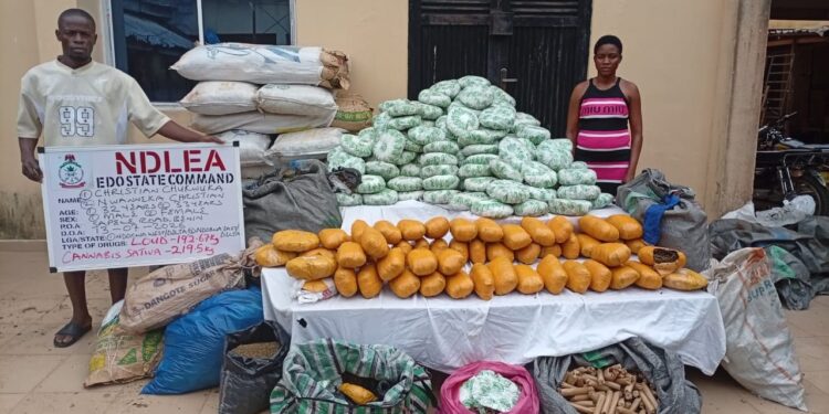 NDlEA Intercepts 1,630,000 Pills Of Tramadol Heading To Kano, Nabs 80-year-old Grandpa For Drug Pushing