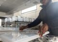 Nigerian Researcher Develops AI System To Transform Marine Conservation, Fisheries Management
