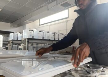Nigerian Researcher Develops AI System To Transform Marine Conservation, Fisheries Management