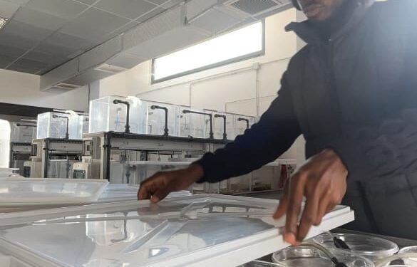 Nigerian Researcher Develops AI System To Transform Marine Conservation, Fisheries Management