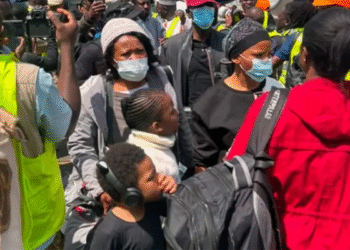 “No compensation For Nigerians Living Illegally In S/Africa”