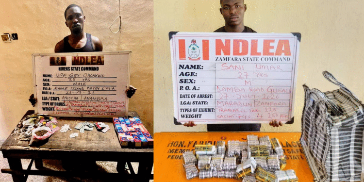 In Lagos, NDLEA Intercepts 750grams Of Cocaine Concelead In Local Mortar, Backpack