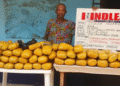 In Lagos, NDLEA Intercepts 750grams Of Cocaine Concelead In Local Mortar, Backpack
