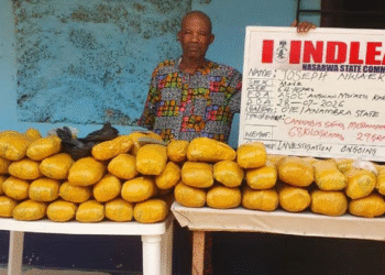 In Lagos, NDLEA Intercepts 750grams Of Cocaine Concelead In Local Mortar, Backpack