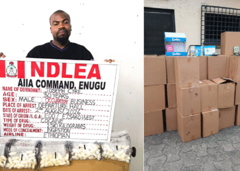 NDLEA Intercepts 1.2kg Cocaine Concealed In 25 Phone Chargers Going To Saudi Arabia, Nabs Businessman With 98 Wraps Of Cocaine