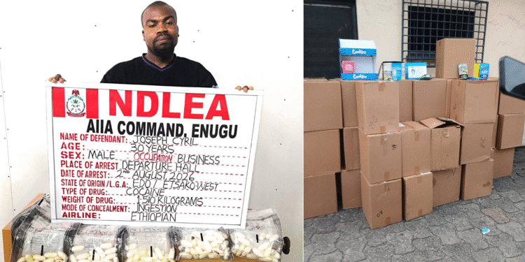 NDLEA Intercepts 1.2kg Cocaine Concealed In 25 Phone Chargers Going To Saudi Arabia, Nabs Businessman With 98 Wraps Of Cocaine