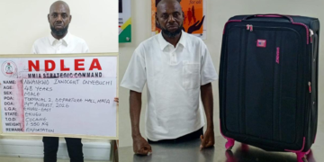 NDLEA Nabs India-bound Businessman With 1.550kg  Cocaine, Seizes Colos, Codeine Worth N3.6 billion In Lagos
