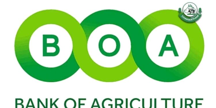 FG Approves N550bln For Bank Of Agriculture To Support Farmers