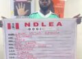 NDLEA Dismantles International Cocaine Trafficking Cartel, Seizes 184.50kg Cocaine Worth N39billion, Arrests Celebrity Kingpin, “KC Luxury”