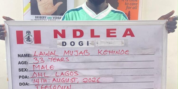 NDLEA Dismantles International Cocaine Trafficking Cartel, Seizes 184.50kg Cocaine Worth N39billion, Arrests Celebrity Kingpin, “KC Luxury”