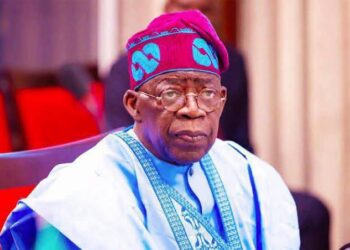 President Tinubu Orders Arrest Of George Nwabueze Over Discovery Of Another Fake Agency, Suspends Three Permanent Secretaries
