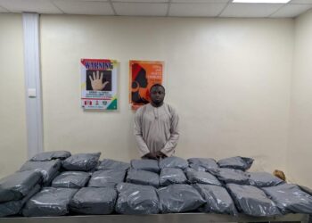 How We Intercepted 32.20kg Colos Shipments From UK, Uncovers Opioids In Loaves Of Bread – NDLEA