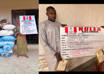 NDLEA Uncovers N7bln Powdered Tramadol, Loud At Lagos Ports, Intercepts Saudi-bound Skunk Hidden In Gallon Of Palm Oil At Kano Airport