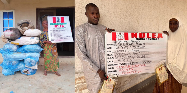 NDLEA Uncovers N7bln Powdered Tramadol, Loud At Lagos Ports, Intercepts Saudi-bound Skunk Hidden In Gallon Of Palm Oil At Kano Airport