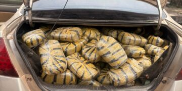 Police Intercept Vehicle Conveying 400 Wraps Of Indian Hemp Worth N3.2mln In Kogi