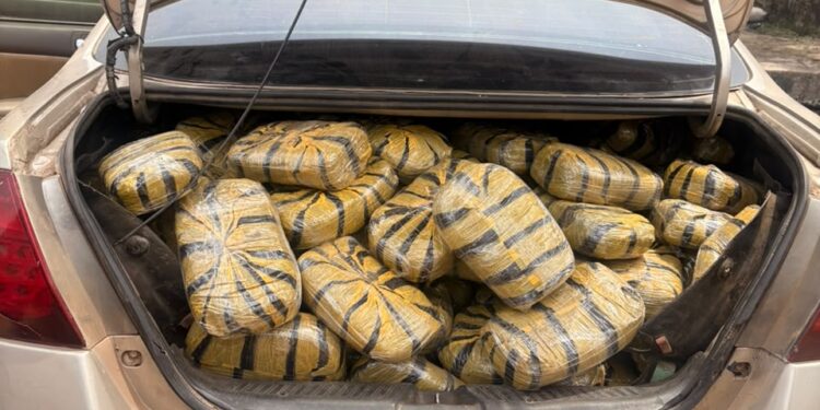 Police Intercept Vehicle Conveying 400 Wraps Of Indian Hemp Worth N3.2mln In Kogi