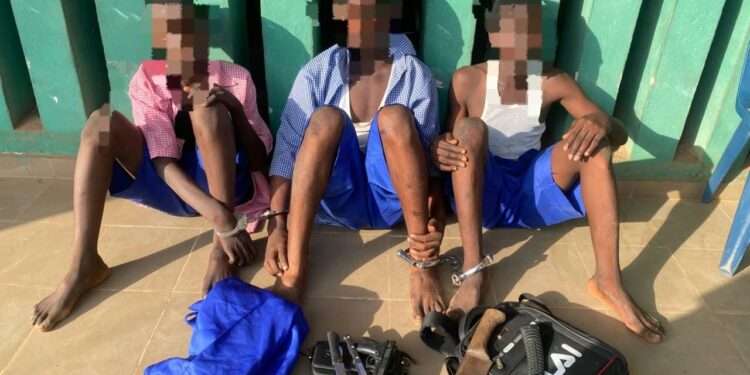 Ogun Police Arrest Three Secondary School Students, Foil Cult Initiation Event, Recover Weapons
