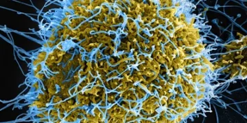 Nigeria Confirms A Case Of Import Ebola, Identifies 44 Close Contacts To Prevent Spread
